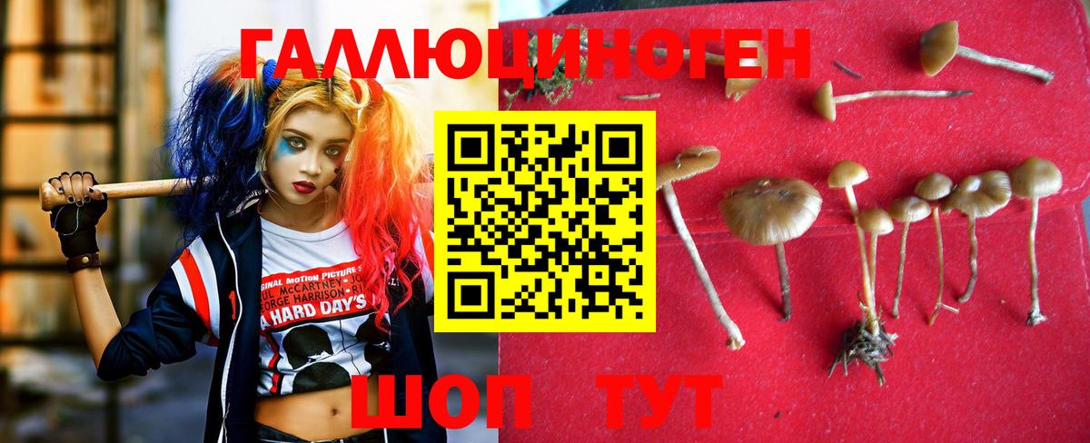 Люберцы  Галлюциногенные грибы ЛСД  Вход с VPN  Галлюциногенные грибы мухоморы 
