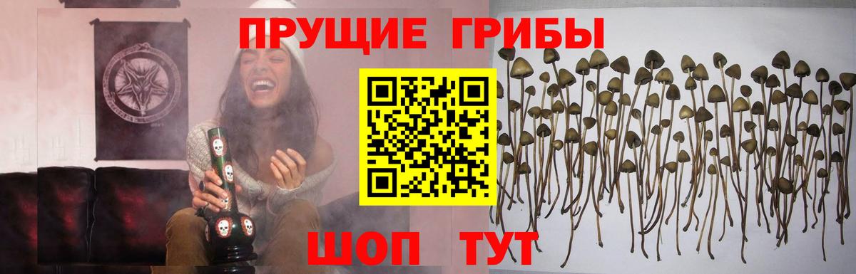 Галлюциногенные грибы Cubensis Люберцы